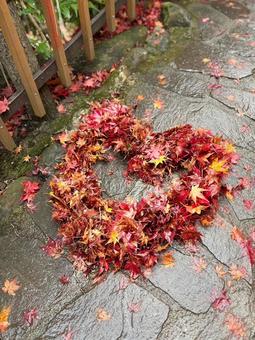 Fallen Leaves Heart, JPG