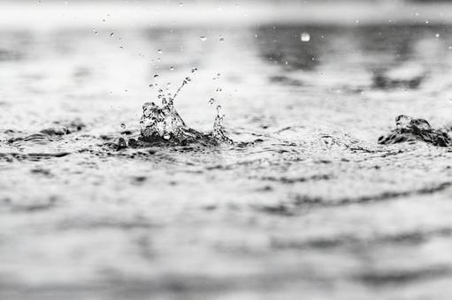 水面に落ちる雫と波紋 水面に落ちる雫と波紋 水,雨,背景の写真素材