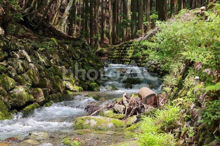 山林の中を流れる小川と石造りの堤防 小川,川,清流の写真素材