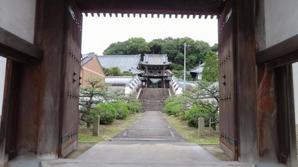 隨念寺 山門から鐘楼門 隨念寺 山門から鐘楼門 隨念寺,神社仏閣,寺の写真素材