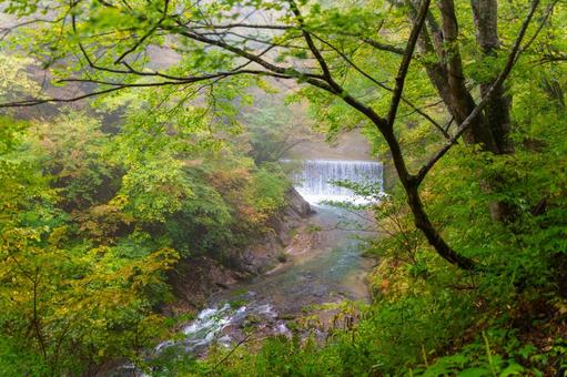鳴子峡の紅葉 鳴子峡,紅葉,渓谷の写真素材