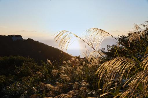 柔らかな光芒が差す秋の海とススキの群生 柔らかな光芒が差す秋の海とススキの群生 ススキ,穂,秋の写真素材
