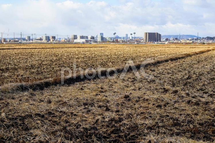 冬の田園　その1 たんぼ,はたけ,地方の写真素材