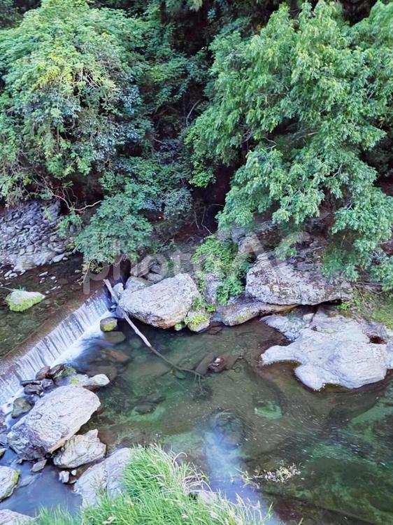 森の中、川 森,川,水滝の写真素材