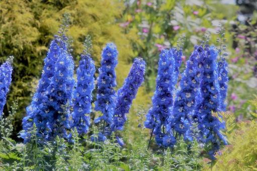 花公園 花公園の写真