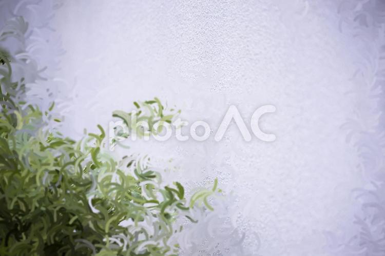 絵のような植物 グラデーション,背景,壁紙の写真素材