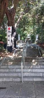 浅間神社 (松戸) 浅間神社 (松戸) 松戸,神社,浅間神社の写真素材