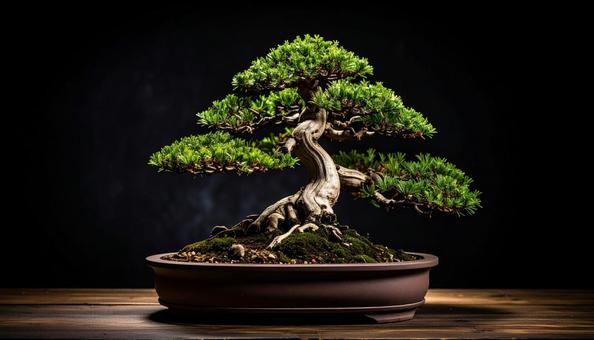 人工知能が育てた小さな森 人工知能が育てた小さな森の写真