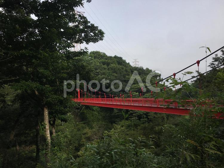 赤い橋のある風景 赤い橋,橋,公園の写真素材