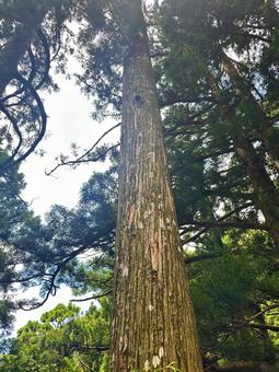 熊野三山 玉置神社 熊野三山 玉置神社の写真