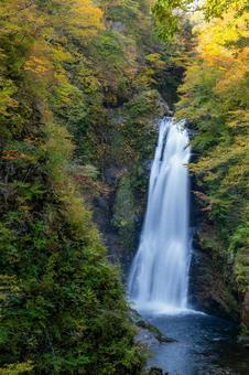 秋の秋保大滝⑺ 滝,秋保大滝,名瀑の写真素材