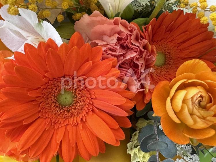 お花のイメージ お花,ブーケ,ガーデニングの写真素材