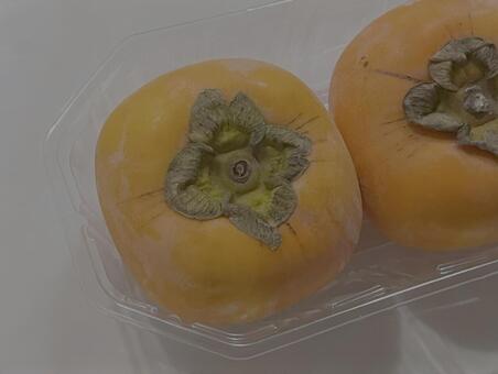 柿 柿,かき,果物の写真素材