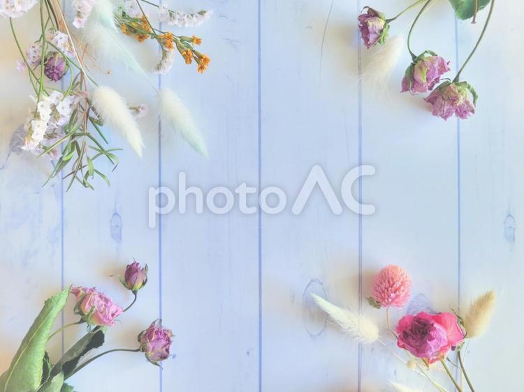 白い木目と小花　ピンク色のドライフラワー 花,春,ピンクの写真素材