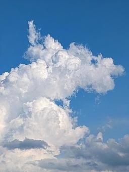 夏の空 夏の空の写真