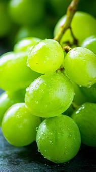 マスカットの接写 マスカットの接写の写真