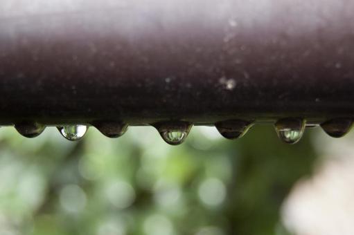 水滴 水滴の写真