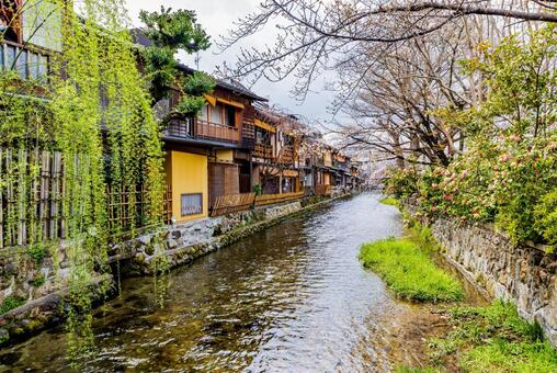 京都府　祇園の町並み 祇園,京都,街並みの写真素材