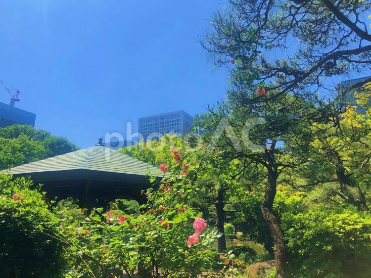 日比谷公園の休憩所と空 日比谷公園,休憩所,空の写真素材