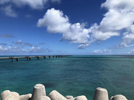 水平線 海,ビーチ,海辺の写真素材