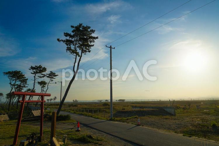 荒浜海岸の風景（宮城県仙台市） 荒浜海岸,仙台,荒浜の写真素材