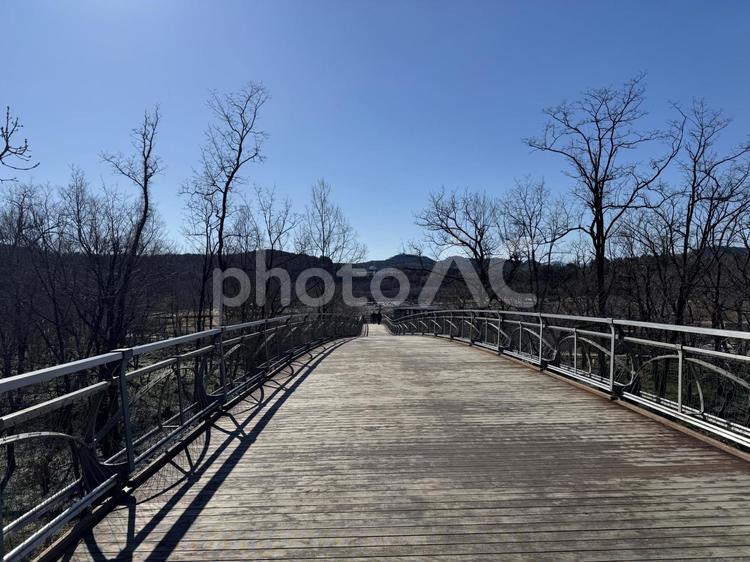 冬の巾着田、あいあい橋④ 巾着田,曼殊沙華,公園の写真素材