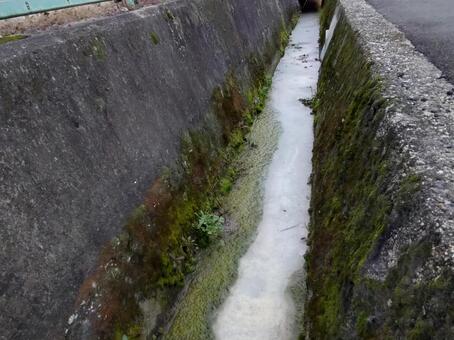 白く濁ったドブ ドブ,汚水,濁ったの写真素材