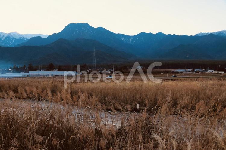 有明山と中房川（ススキの河原） 安曇野,北安曇野,北安曇の写真素材