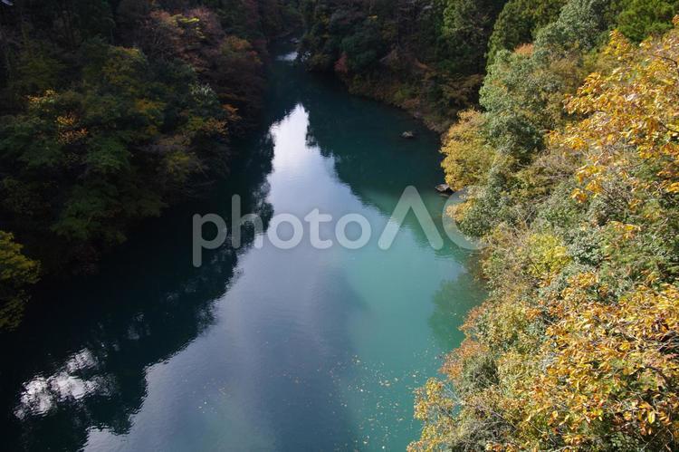 秋の数馬峡 数馬峡,白丸湖,秋の写真素材