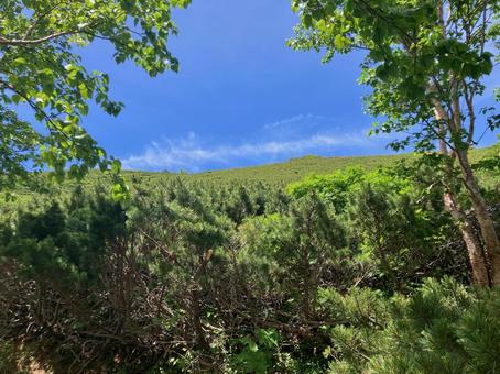 夏の悪沢岳へ登山6 夏の悪沢岳へ登山6の写真