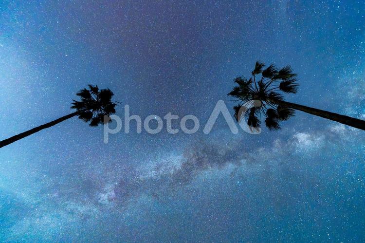 天の川を見上げる 星空,星,天の川の写真素材
