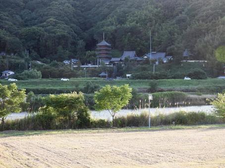 中道山 円光寺 明王院 福山市,広島県,明王院の写真素材