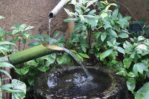 緑の葉の木と青竹のしし落としと石手水鉢 緑の葉の木と青竹のしし落としと石手水鉢の写真