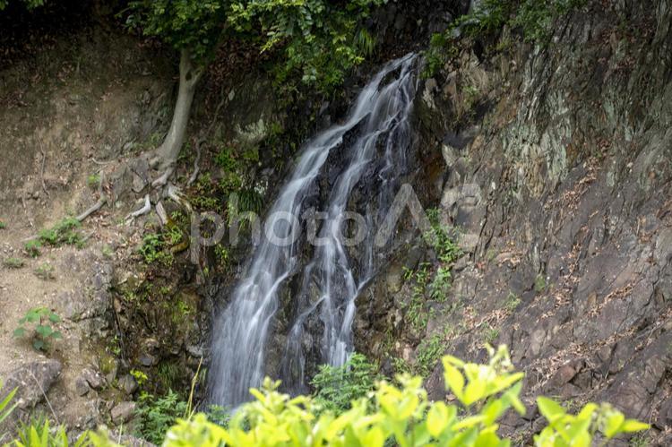 栗林公園の滝 高松栗林公園,四国,香川県の写真素材