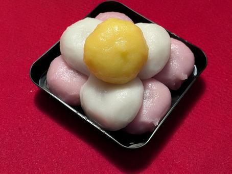 中秋の名月に用意したお月見だんご 中秋の名月に用意したお月見だんご 団子,和菓子,月見団子の写真素材