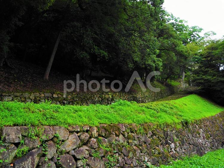 苔むした石段 石垣,石段,石畳の写真素材