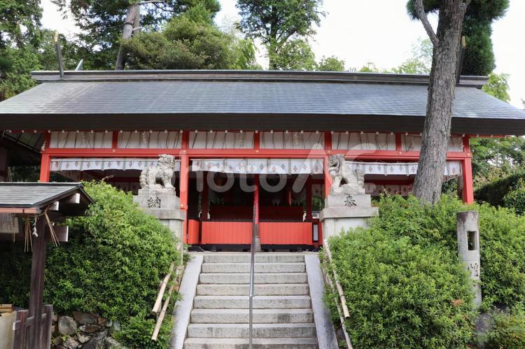 住吉大伴神社　拝殿 住吉大伴神社,拝殿,すみよしおおともじんじゃの写真素材
