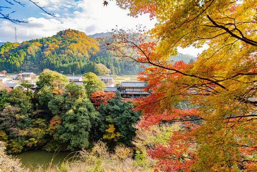滋賀県　永源寺の秋景色 永源寺,紅葉,秋の写真素材