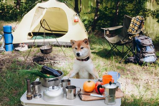 焚き火台とテントのあるキャンプ場 犬,テント,キャンプの写真素材