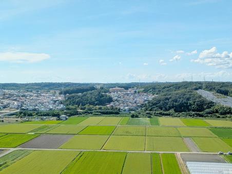 のどかな田園風景 のどかな田園風景 田園,田園風景,田舎の写真素材
