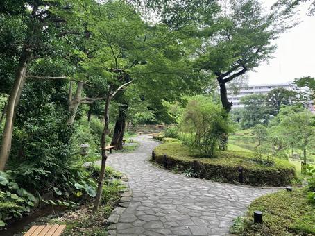 肥後細川庭園の庭園風景 肥後細川庭園の庭園風景 肥後細川庭園,肥後,細川庭園の写真素材