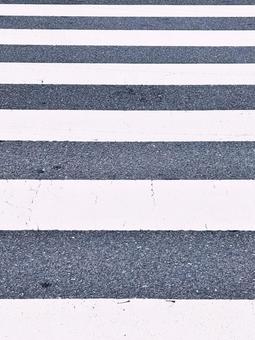 横断歩道 横断歩道の写真