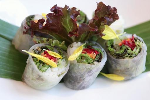 野菜の生春巻き 生春巻き,ベトナム料理,ライスペーパーの写真素材