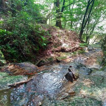 川 川の写真