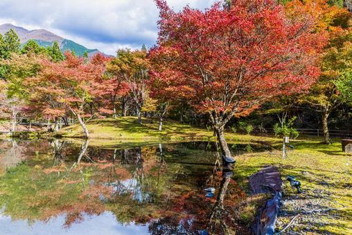 静岡県 草履石公園・秋景色 静岡県 草履石公園・秋景色 草履石公園,寸又峡,紅葉の写真素材