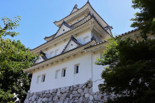 7月下旬の大垣城の天守 7月下旬の大垣城の天守 大垣城,天守,城の写真素材