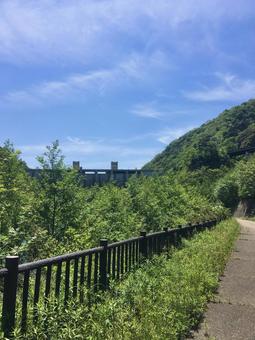 散歩道 散歩道,山道,ハイキングの写真素材