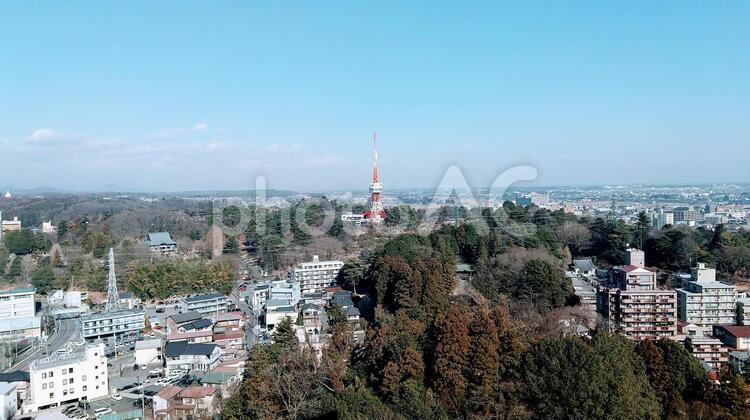宇都宮タワーと街並み 宇都宮,宇都宮タワー,街並みの写真素材
