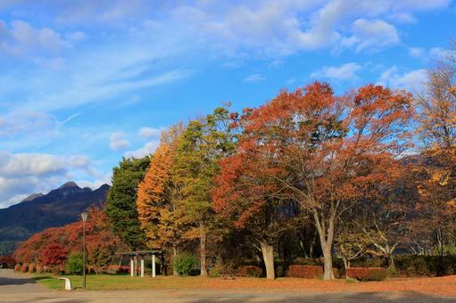 秋の河口湖周辺 秋の河口湖周辺 河口湖周辺,河口湖,湖の写真素材
