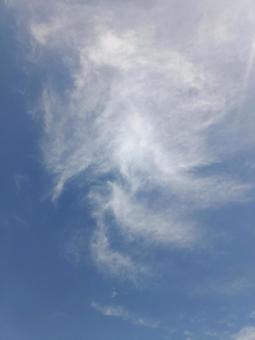ずっと見ていて飽きないな ずっと見ていて飽きないなの写真
